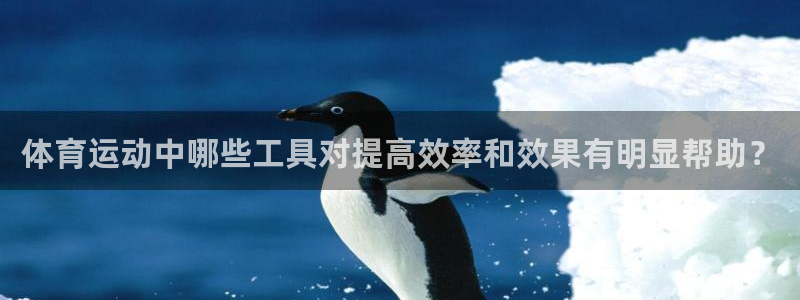 嗨王体育最新消息今天：体育运动中哪些工具对提高效率和效果有明显帮助？