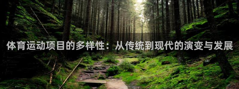 嗨王体育上不去：体育运动项目的多样性：从传统到现代的演变与发展