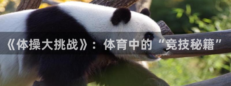 嗨王体育如何下载：《体操大挑战》：体育中的“竞技秘籍”