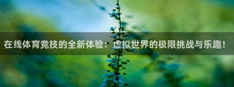 嗨王体育app官网下载：在线体育竞技的全新体验：虚拟世界的极限挑战与乐趣！