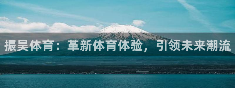 嗨王体育上不去：振昊体育：革新体育体验，引领未来潮流