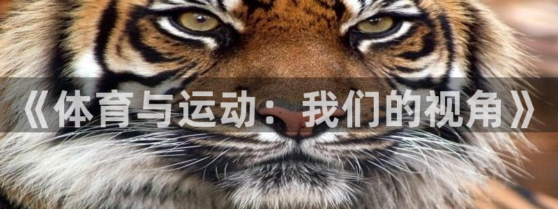 嗨王体育ios：《体育与运动：我们的视角》